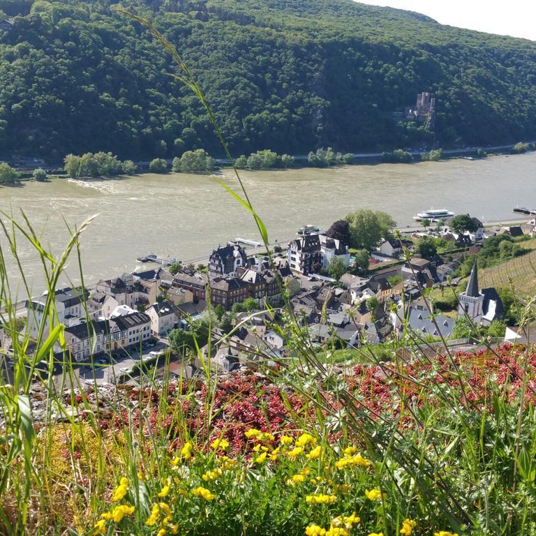 Eismauer Suite Rüdesheim am Rhein Dış mekan fotoğraf