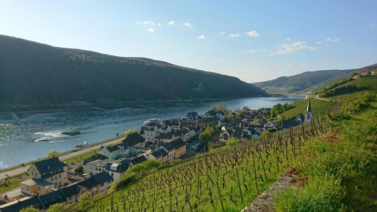 Eismauer Suite Rüdesheim am Rhein Dış mekan fotoğraf
